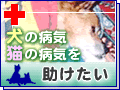 犬　猫