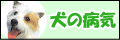 犬の病気,猫の病気,症状