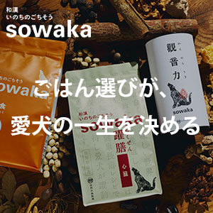 いのちのごちそうsowaka 高級ドッグフード